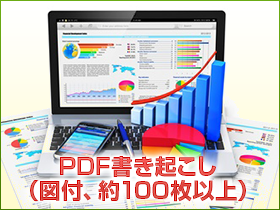 特別編商品:PDF書き起こし(図付、約100枚以上)
